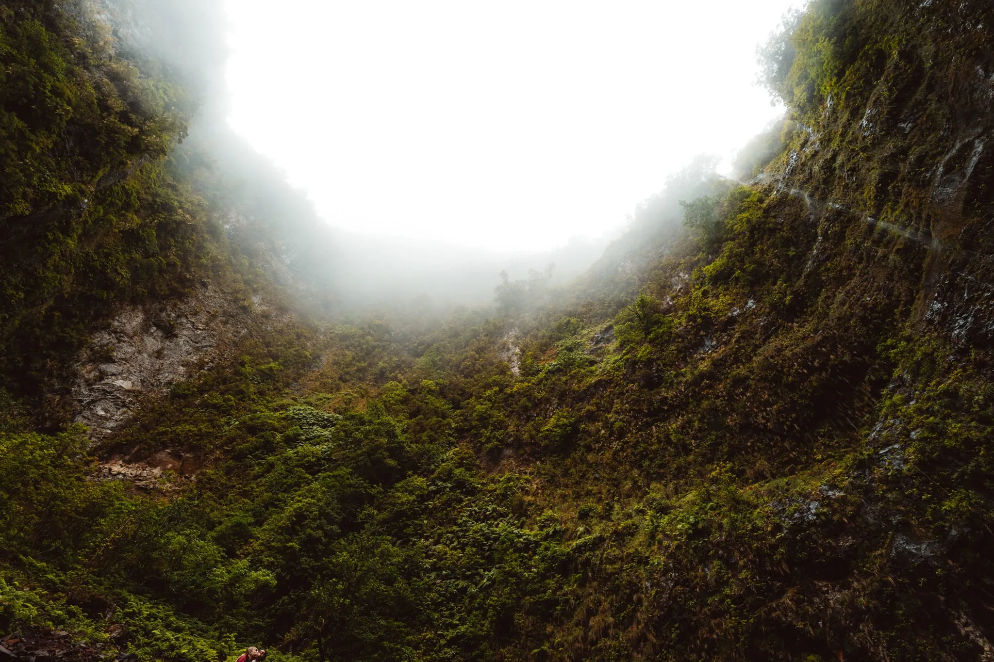 Pohled vzhůru z mechem porostlého kaňonu na Levada do Inferno