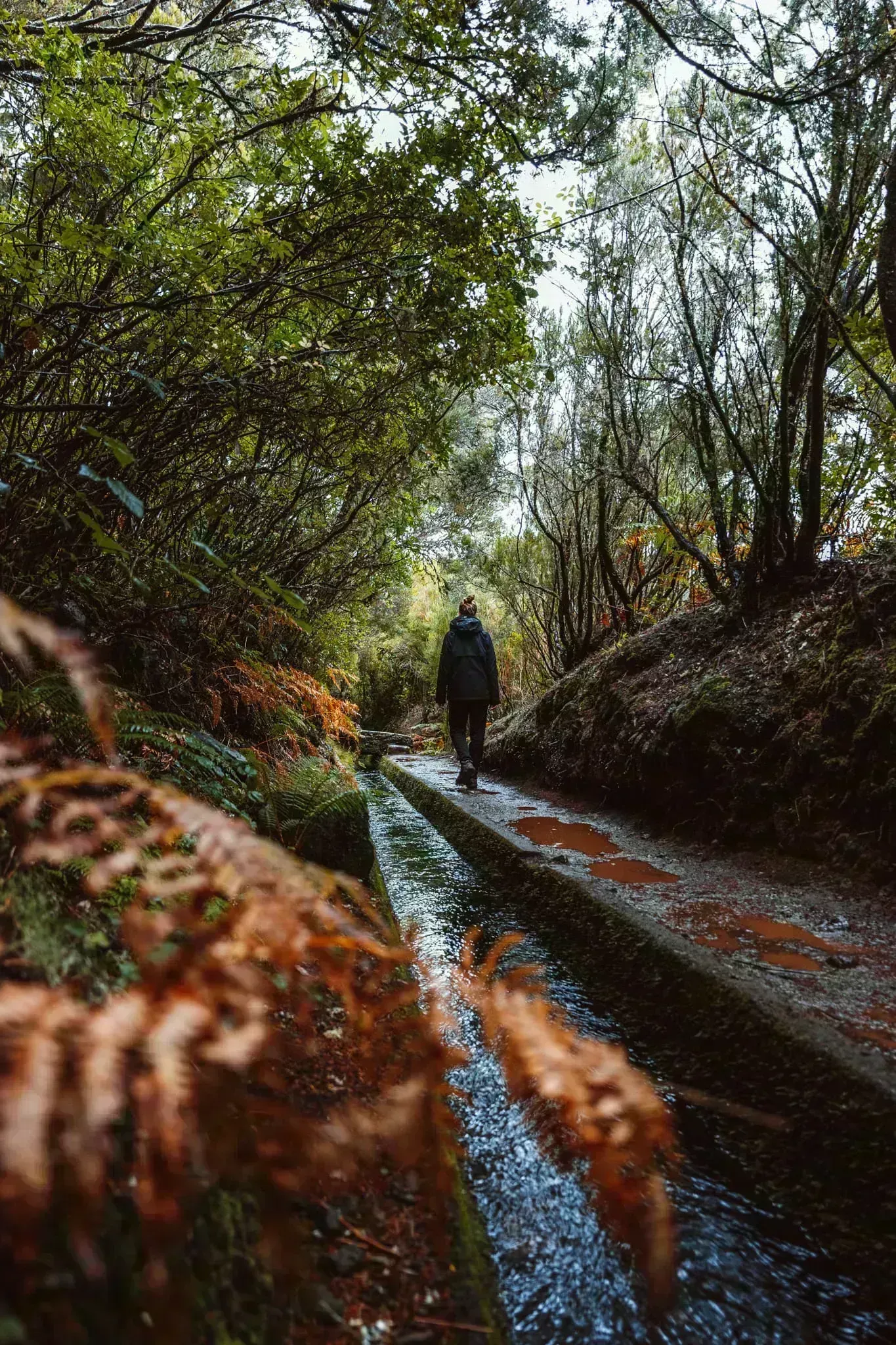 Turista na stezce podél levády cestou k Lago do Vento