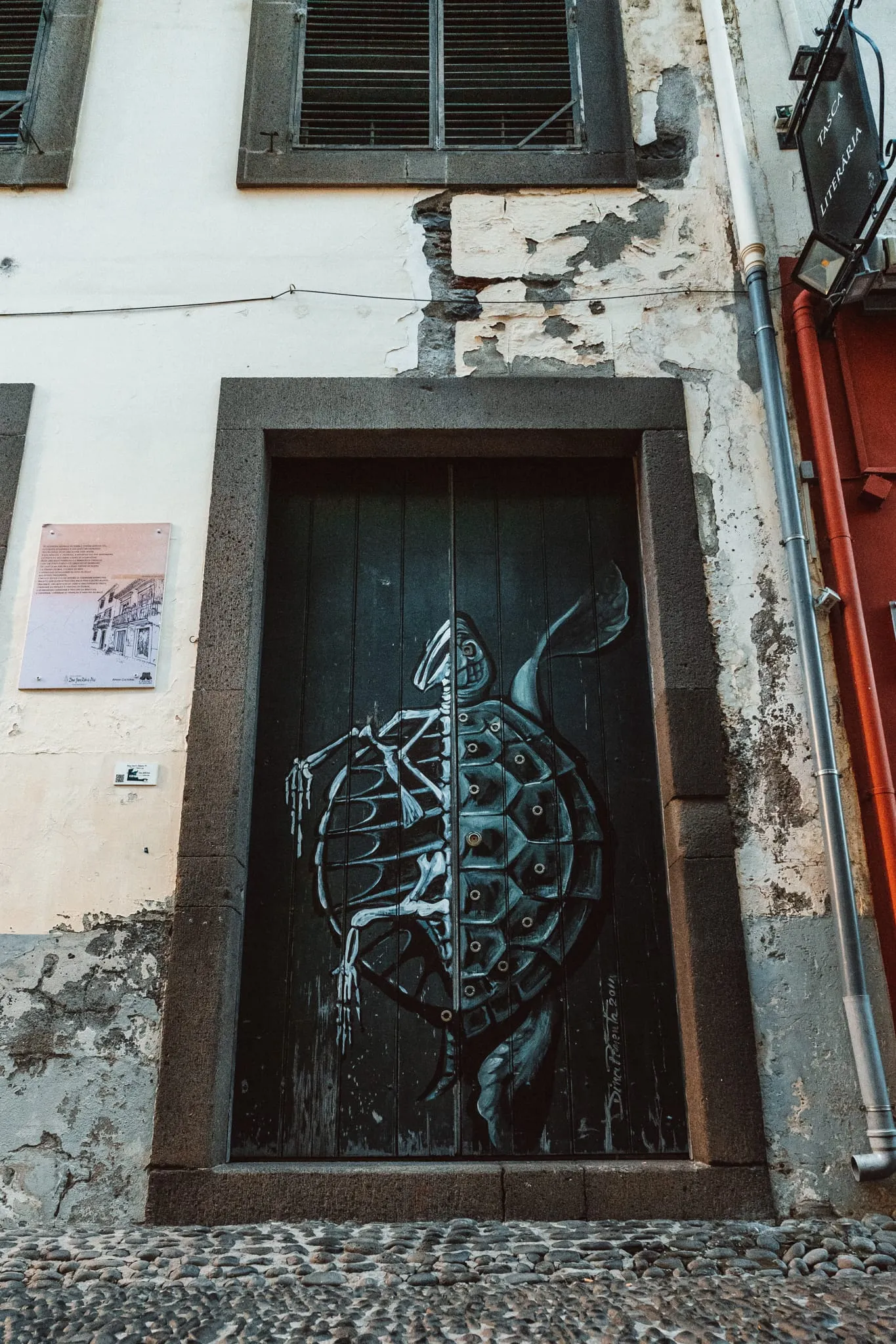Dveře s malbou želvy v Rua de Santa Maria ve Funchalu